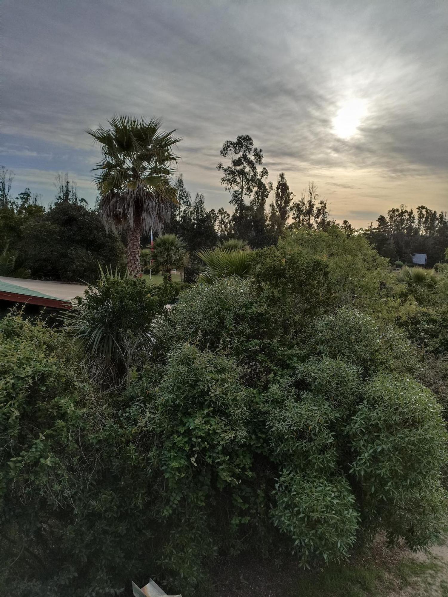 El Algarrobo Exterior photo