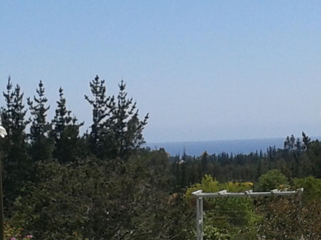 El Algarrobo Exterior photo