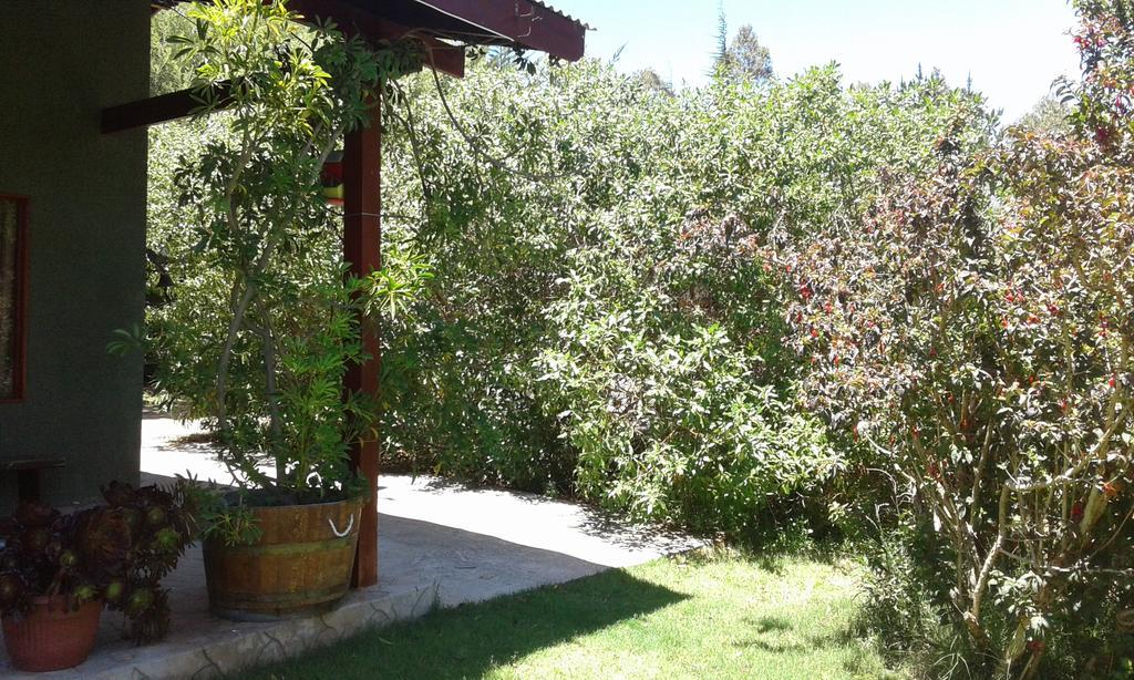 El Algarrobo Exterior photo