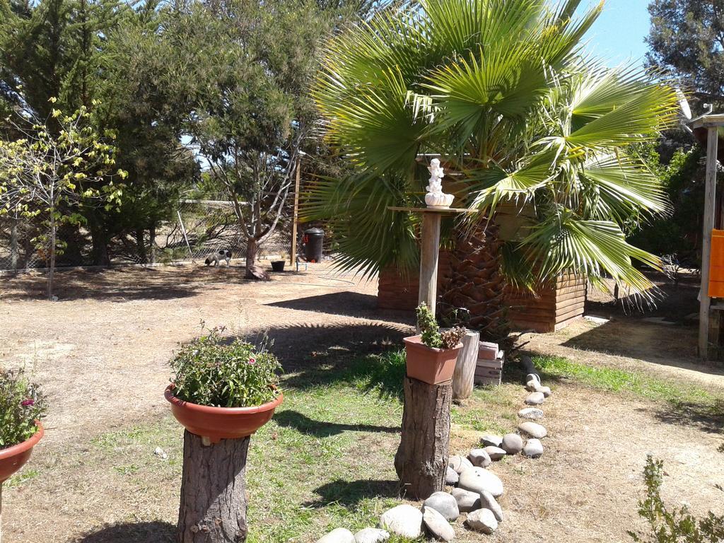 El Algarrobo Exterior photo