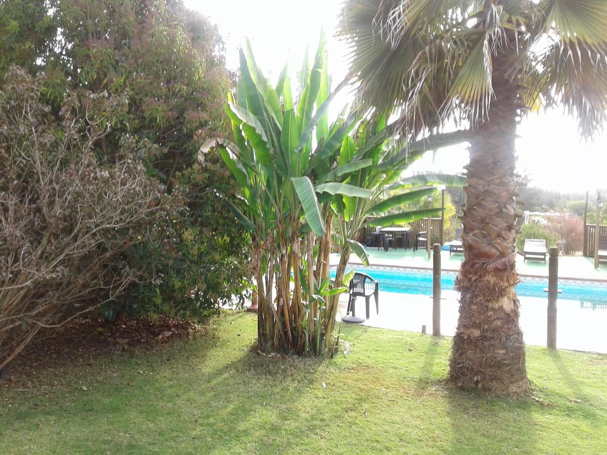 El Algarrobo Exterior photo